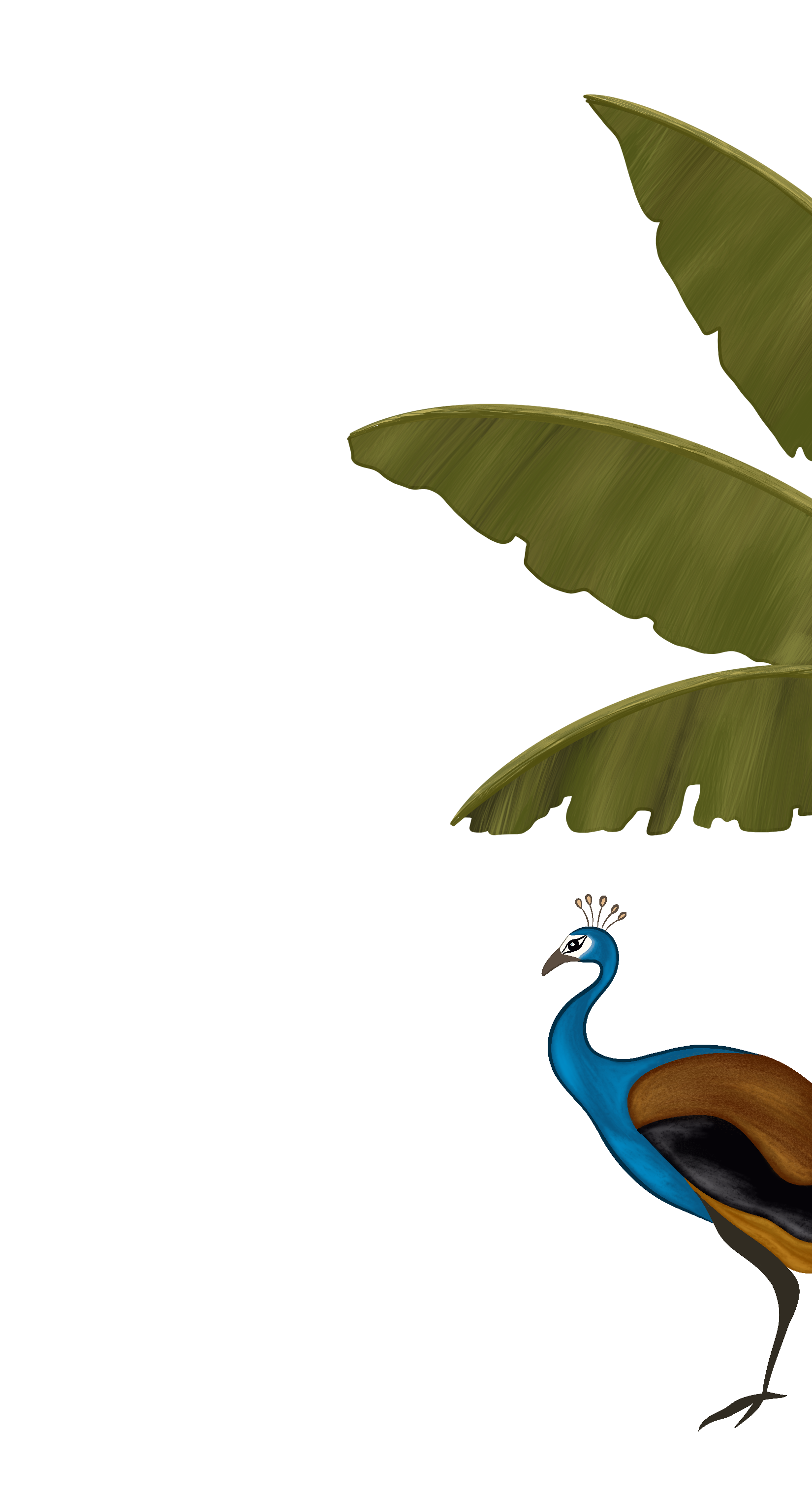 Top Right Decoration